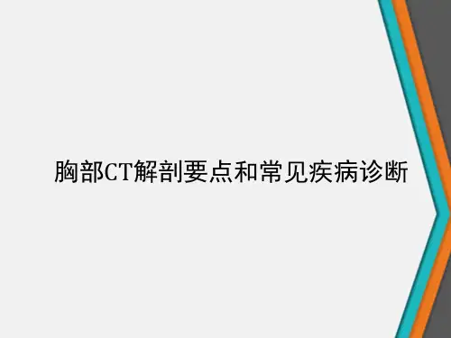 胸部CT解剖要点和常见疾病诊断