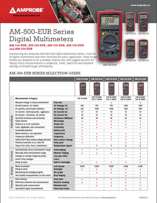 Amprobe AM-500-EUR 数字多功能电测仪系列说明书