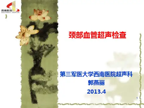 颈部血管超声检查ppt课件