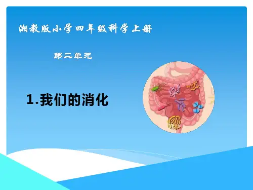 湘教版小学科学四年级上册1《我们的消化》课件