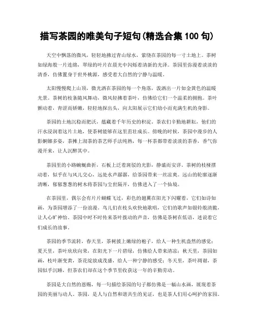 描写茶园的唯美句子短句(精选合集100句)