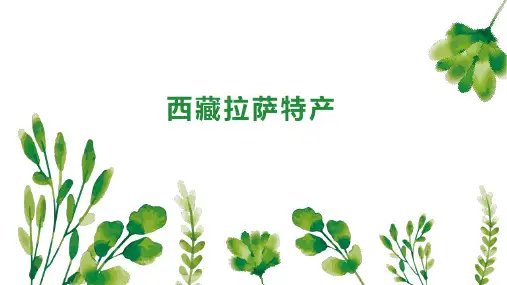 西藏拉萨特产