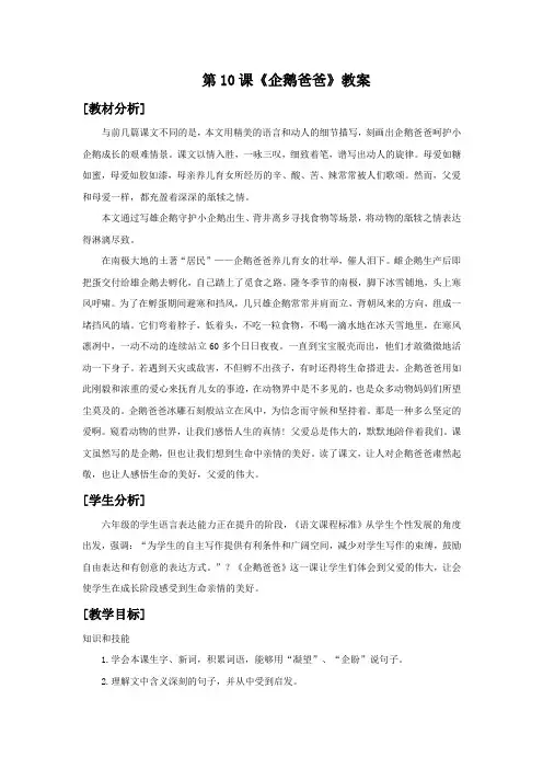 语文西师版六年级下册 《企鹅爸爸》教案