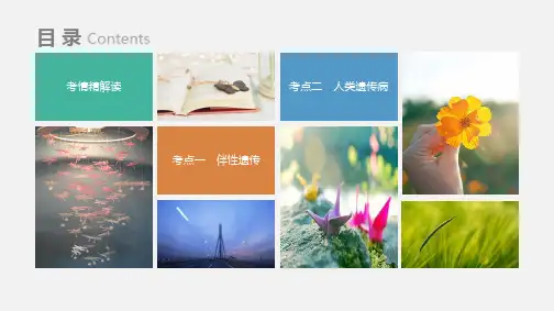 2020届高考生物专项复习讲义课件：14 伴性遗传与人类遗传病(共26张PPT)
