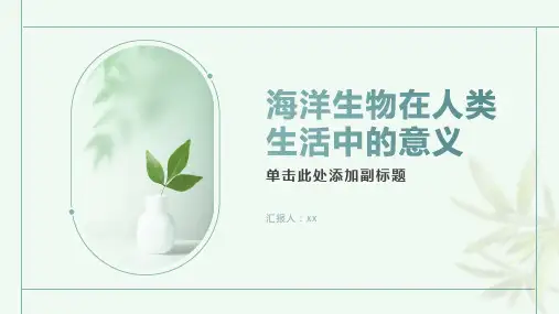海洋生物在人类生活中的意义