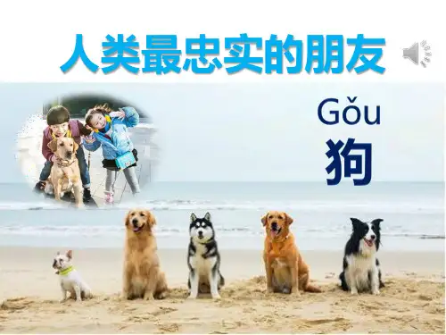 动物世界PPT课件
