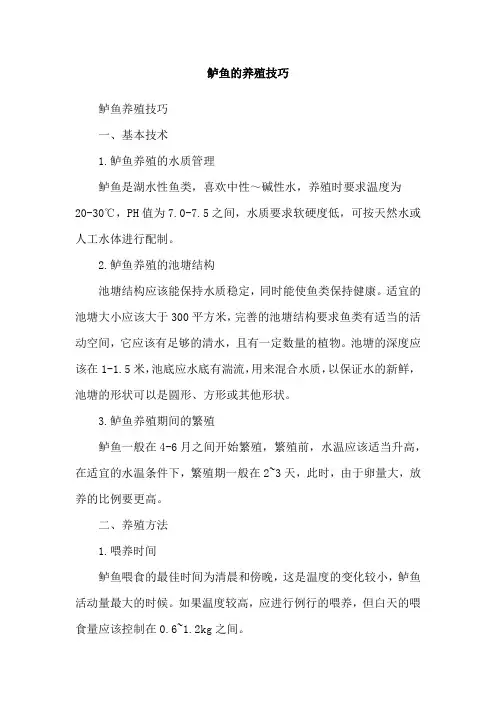 鲈鱼的养殖技巧