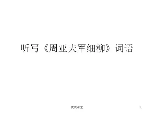 课外词《浣溪沙》《采桑子》《相见欢》《如梦令》[严选课资]