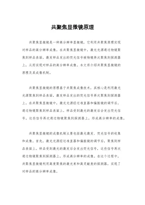 共聚焦显微镜原理