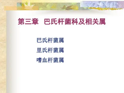 细菌学各论课件：巴氏杆菌科及相关属