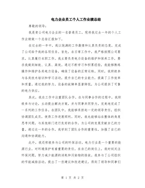 电力企业员工个人工作业绩总结