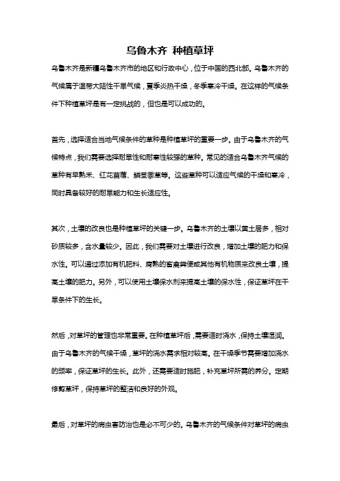 乌鲁木齐 种植草坪