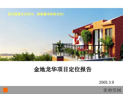 金地龙华项目定位报告