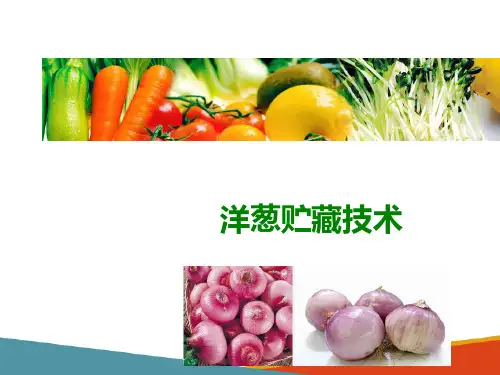 主要蔬菜贮藏(果蔬贮藏与加工技术课件)