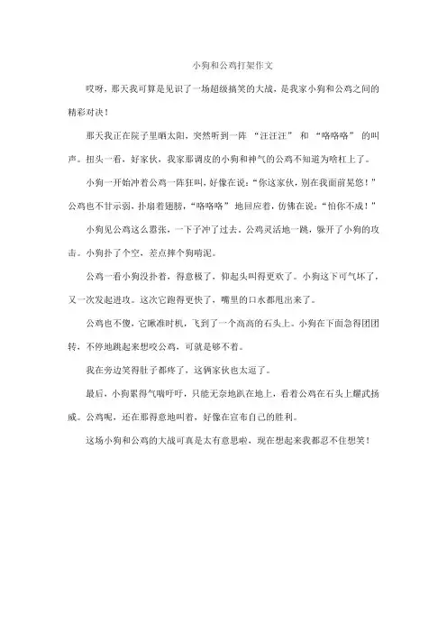 小狗和公鸡打架作文