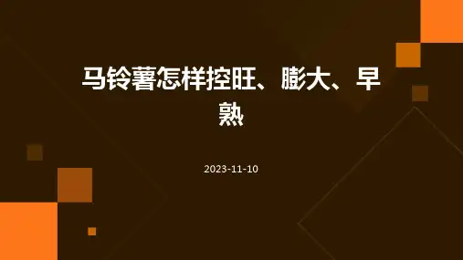 马铃薯怎样控旺、膨大、早熟