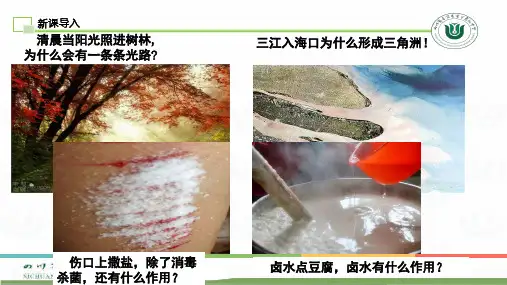 高中化学物质的分类-分散系及其分类优秀课件