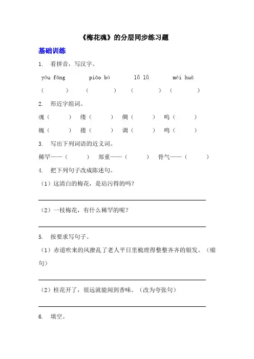 部编版五年级下册语文第四课《梅花魂》分层作业  分层同步练习题(含答案) (3)