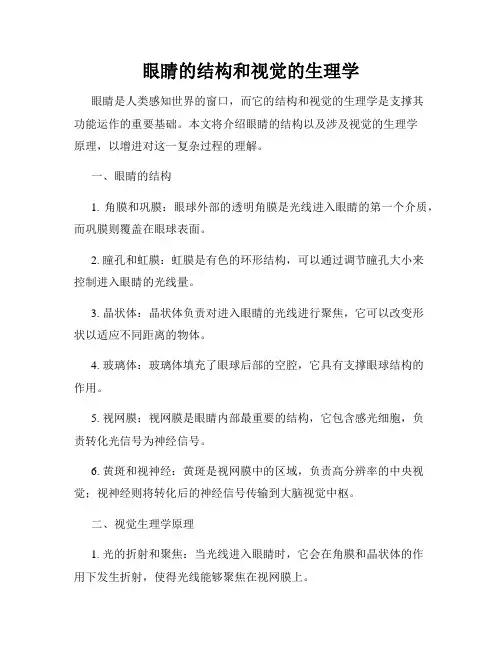 眼睛的结构和视觉的生理学