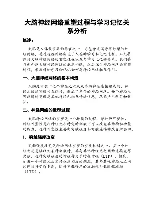 大脑神经网络重塑过程与学习记忆关系分析