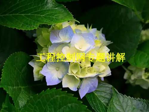 施工精密测量控制网讲解(ppt 72张)