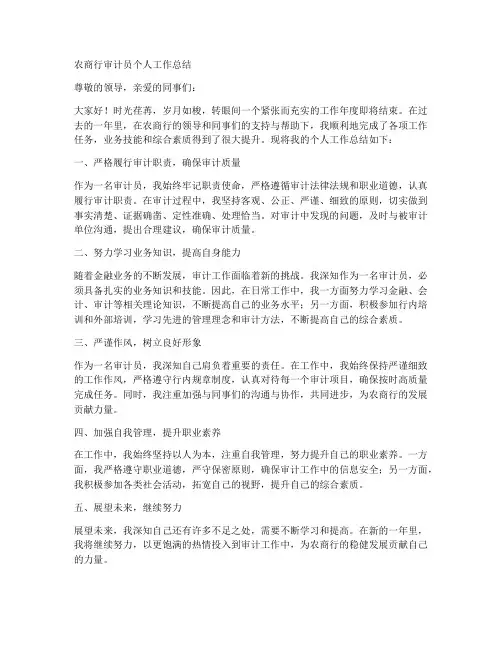 农商行审计员个人工作总结