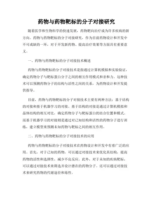 药物与药物靶标的分子对接研究