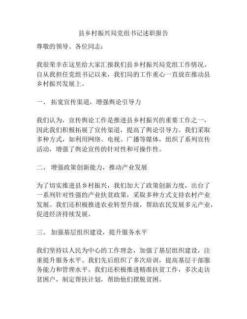 县乡村振兴局党组书记述职报告