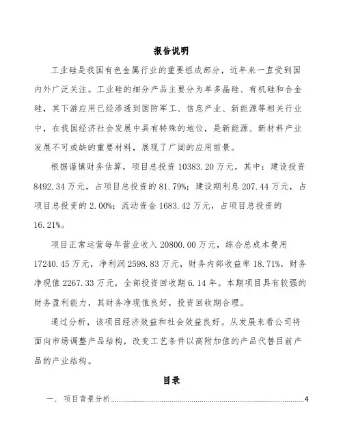 工业硅项目设计方案