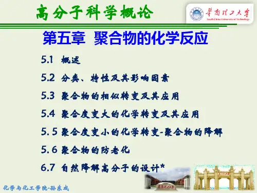 第5章 聚合物的化学反应