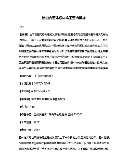 隧道内整体道床病害整治措施