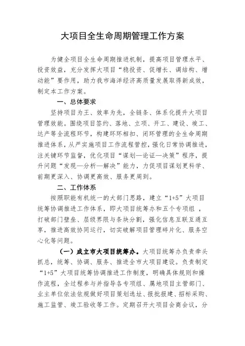 大项目全生命周期管理工作方案
