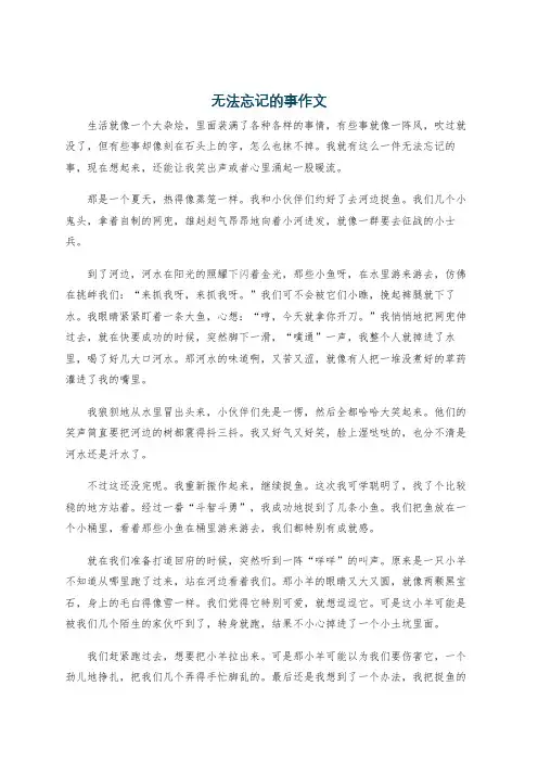 无法忘记的事作文