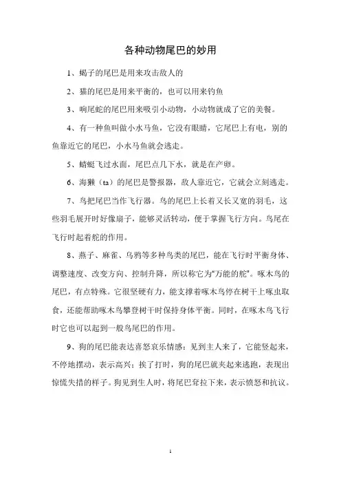 各种动物尾巴的妙用