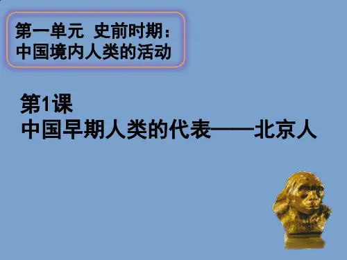 部编版初一历史七年级上册 第1课 中国早期人 类的代表 ——北京人