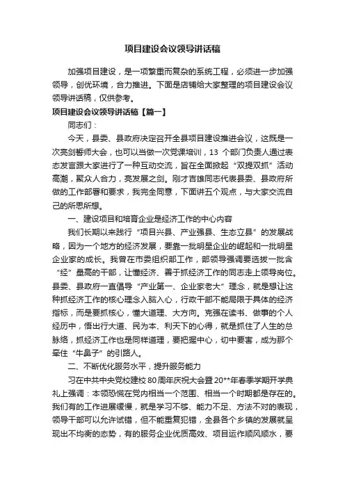 项目建设会议领导讲话稿