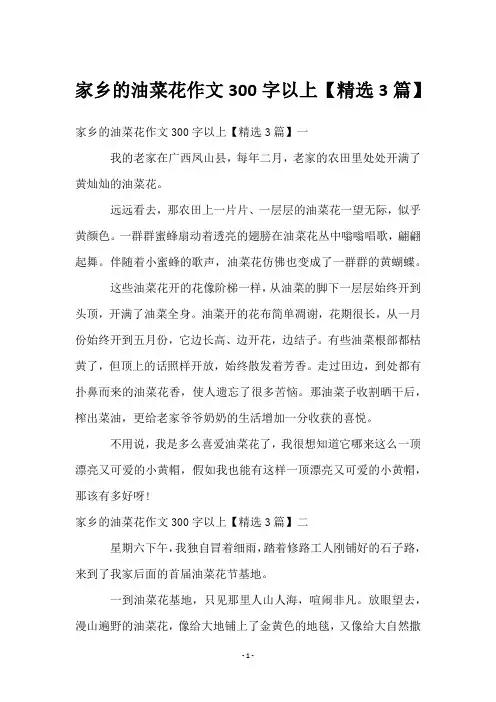 家乡的油菜花作文300字以上【3篇】