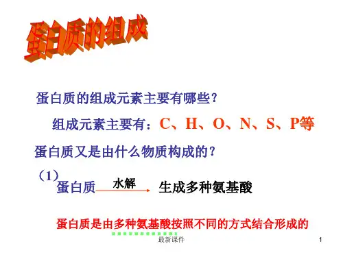蛋白质的性质ppt课件