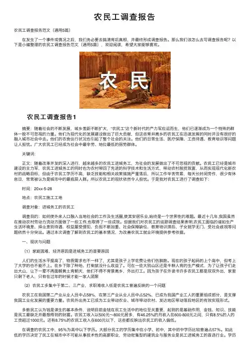 农民工调查报告
