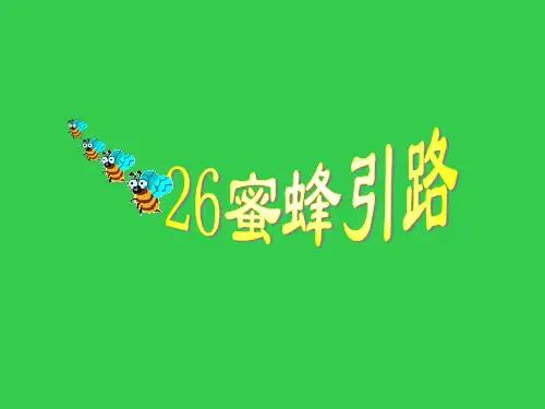 26、蜜蜂引路课件
