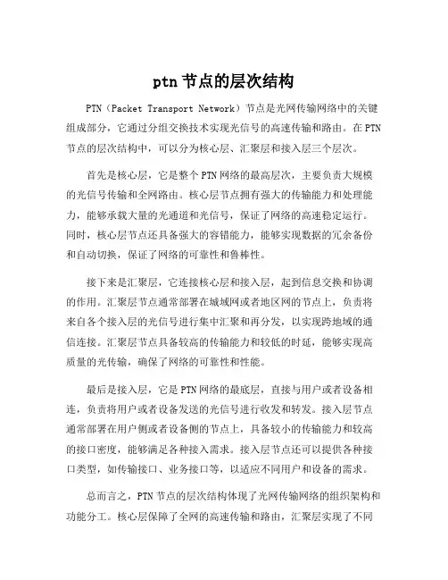 ptn节点的层次结构