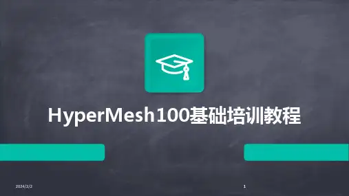 2024版年度HyperMesh100基础培训教程