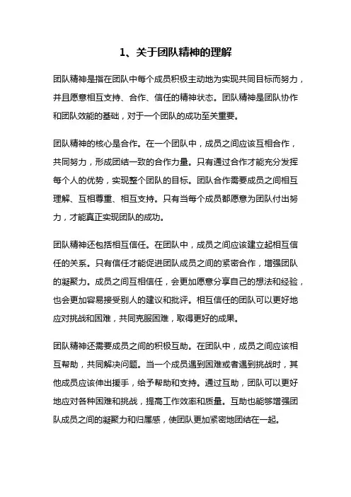 1、关于团队精神的理解