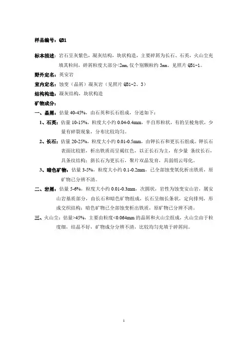 某矿区岩矿鉴定报告1