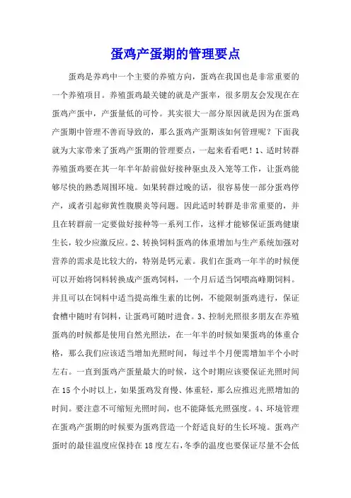 蛋鸡产蛋期的管理要点