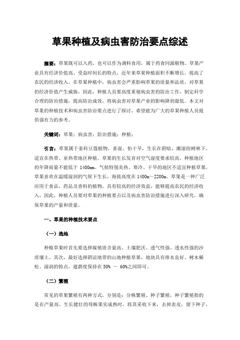 草果种植及病虫害防治要点综述