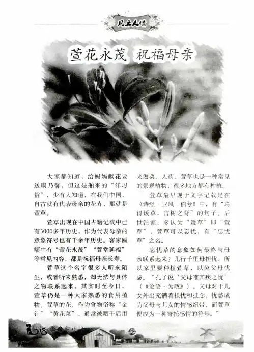萱花永茂  祝福母亲