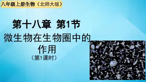 北师大版生物八年级上册 第18章  微生物在生物圈中的作用