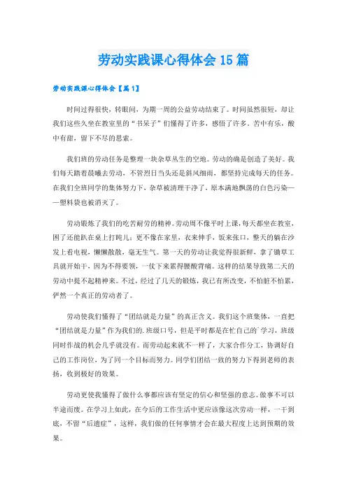 劳动实践课心得体会15篇