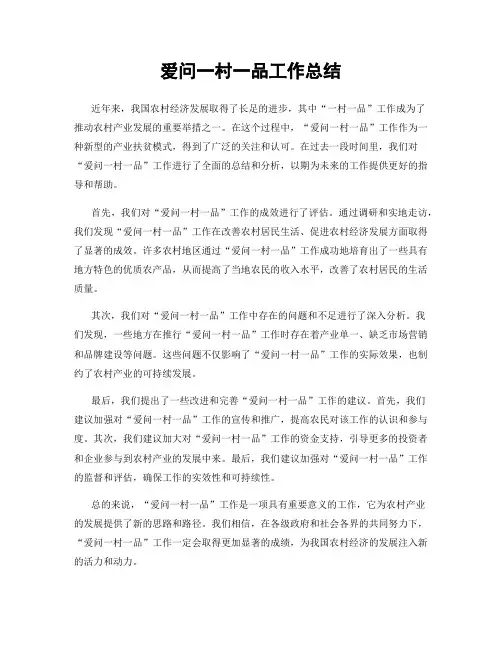 爱问一村一品工作总结